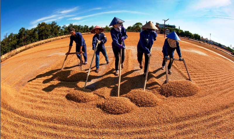 Cuộc thi ảnh “Khoảnh khắc Lễ hội Cà phê Buôn Ma Thuột lần thứ 8 năm 2023”