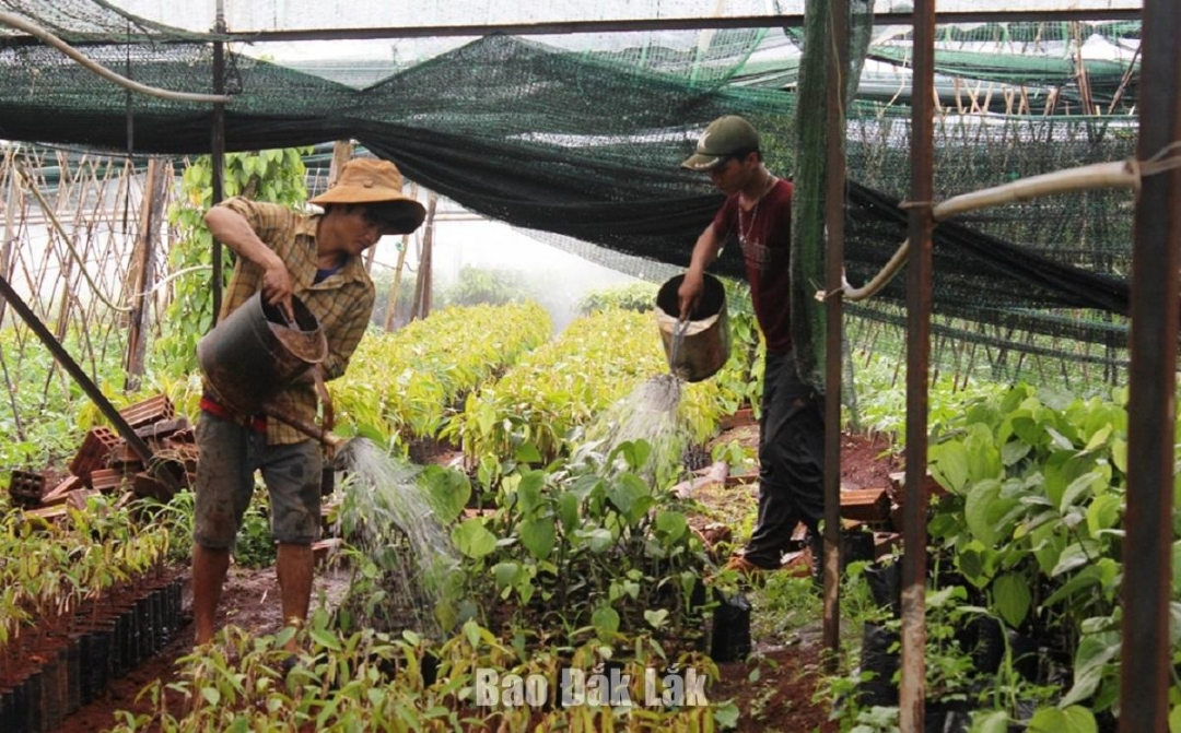 Không yêu cầu thay đổi thông tin Giấy chứng nhận đăng ký kinh doanh do thay đổi địa giới hành chính