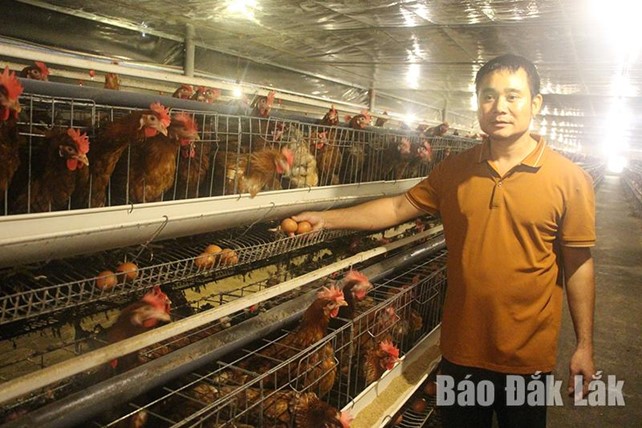 Kế hoạch về phát triển hợp tác xã nông nghiệp trong tái cơ cấu ngành nông nghiệp và xây dựng nông thôn mới trên địa bàn tỉnh Đắk Lắk năm 2025