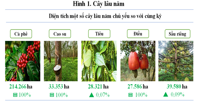 Báo cáo tình hình kinh tế - xã hội tháng 8 và 8 tháng năm 2025