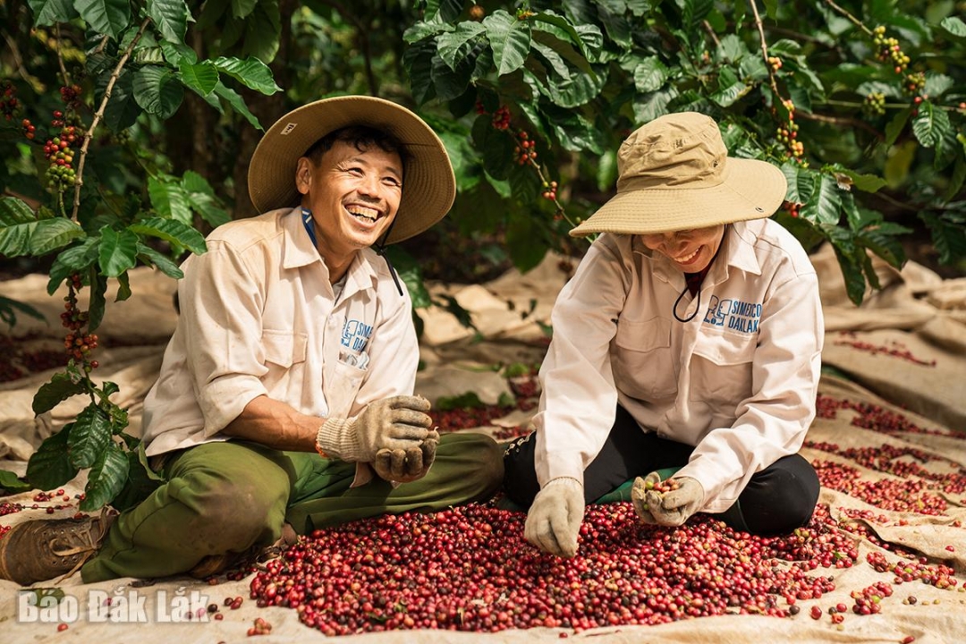 Doanh nghiệp tiên phong, dẫn dắt quá trình chuyển đổi số