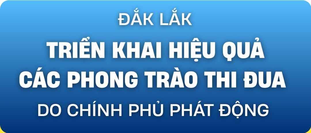 Đắk Lắk triển khai hiệu quả các phong trào thi đua do Chính phủ phát động
