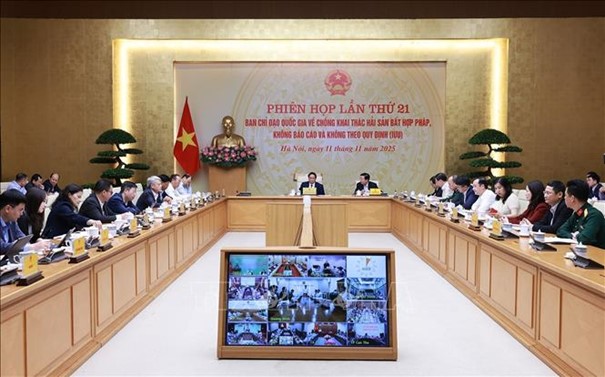 Thực hiện nghiêm chỉ đạo của Chính phủ và Ban Chỉ đạo quốc gia về chống khai thác IUU