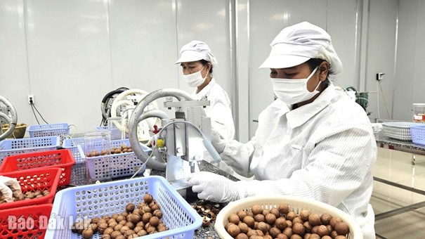 Đưa Nghị quyết 68 vào cuộc sống