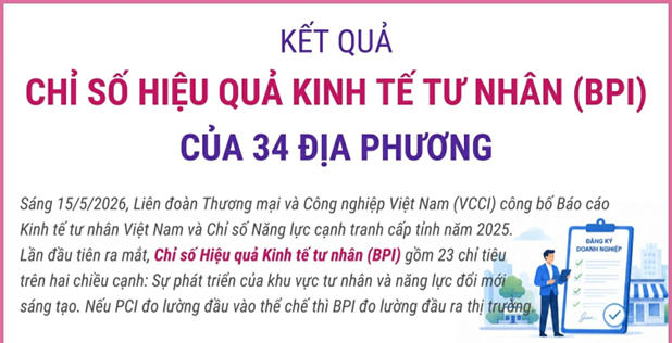 Chỉ số Hiệu quả kinh tế tư nhân năm 2025 của 34 địa phương