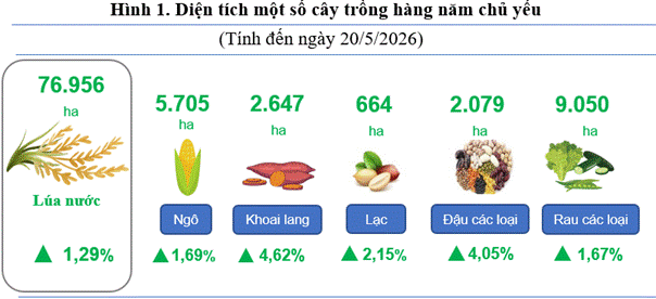 Báo cáo tình hình Kinh tế - xã hội tháng 5 và 5 tháng năm 2026