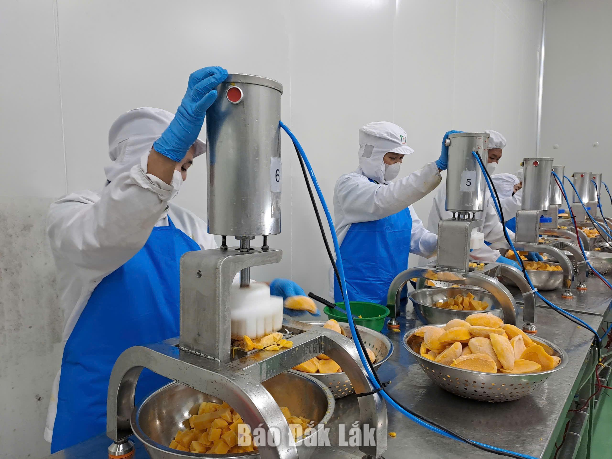 Đắk Lắk tập trung phát triển chuyển đổi số trong doanh nghiệp nhỏ và vừa