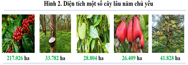 HL3lxBb-5233b385-da48-4107-9451-d0b982bc99b1