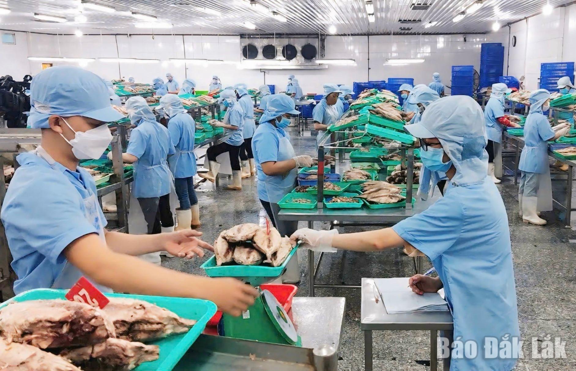 ca_ngu_20260201175016_20260204203740